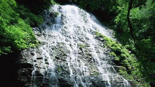 高标准智慧